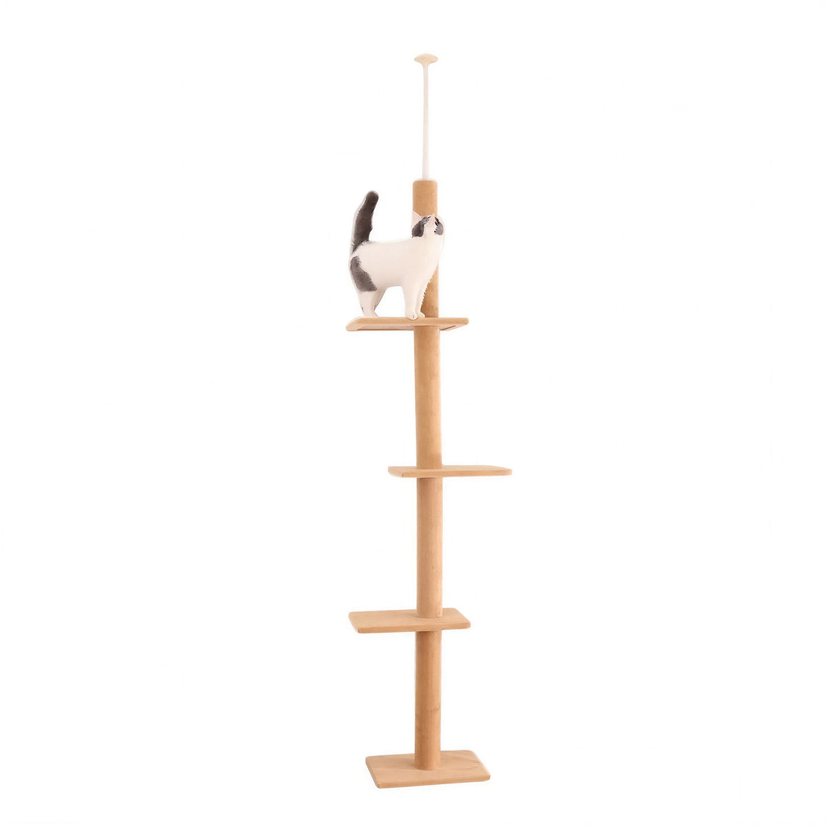 Arbre d'escalade pour chat à cinq niveaux Pour toi Mon chat