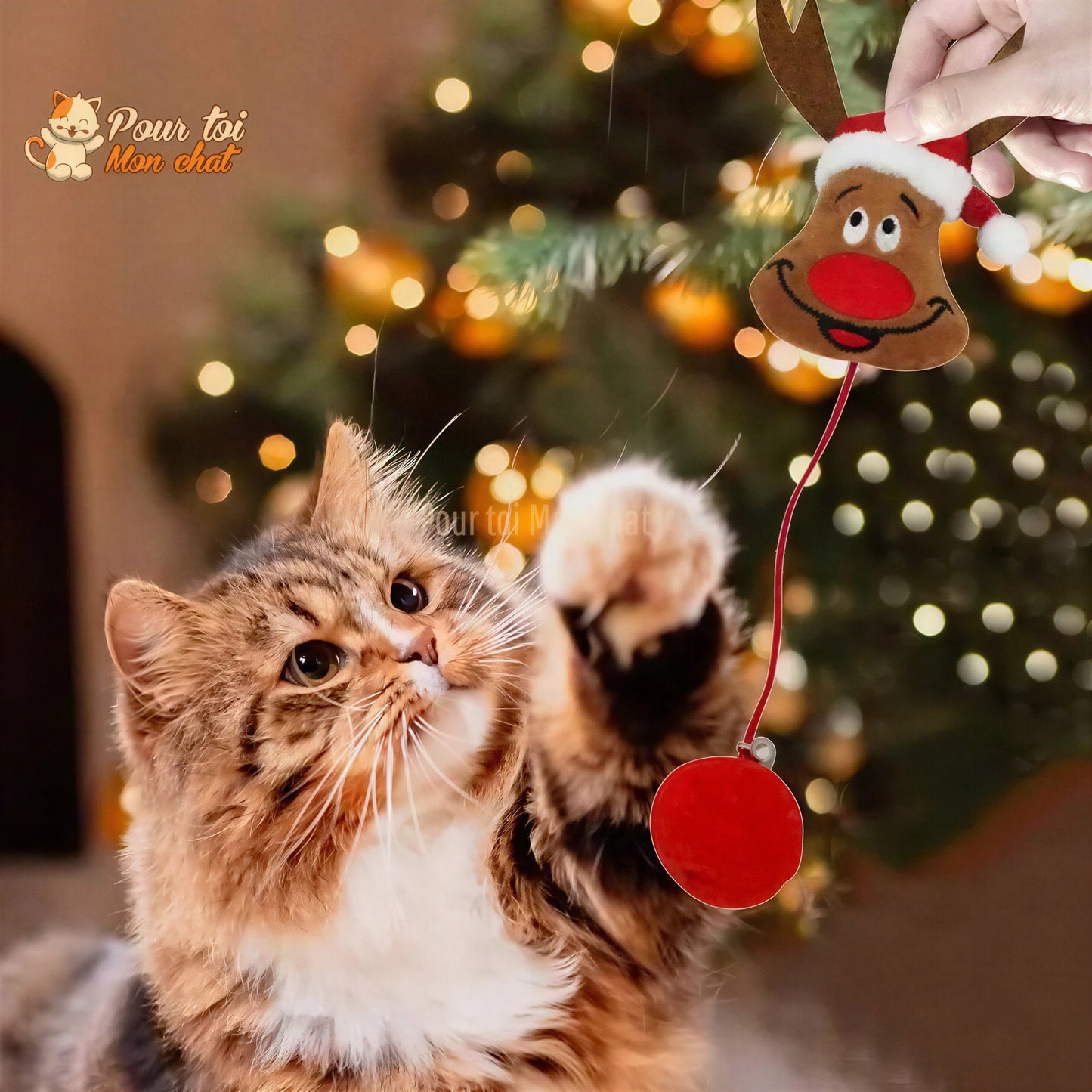Noël Jouets en Peluche, fourrure, boule, cloche, poupées - Pour Chat - PomponNoëlChat™ Pour toi Mon chat