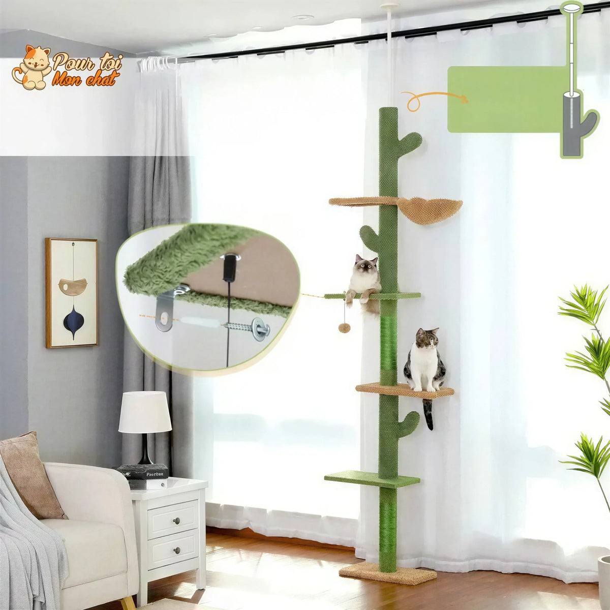 Arbre à chat cactus à cinq niveaux Pour toi Mon chat