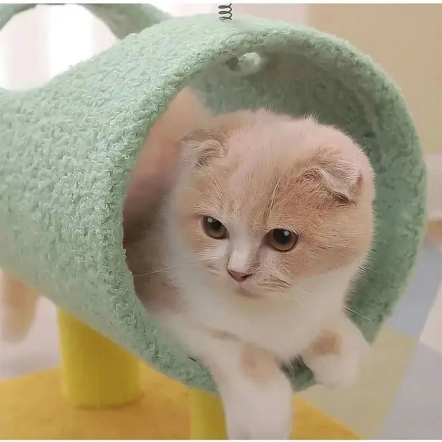 Arbre d'escalade en design de dinosaure pour chat Pour toi Mon chat