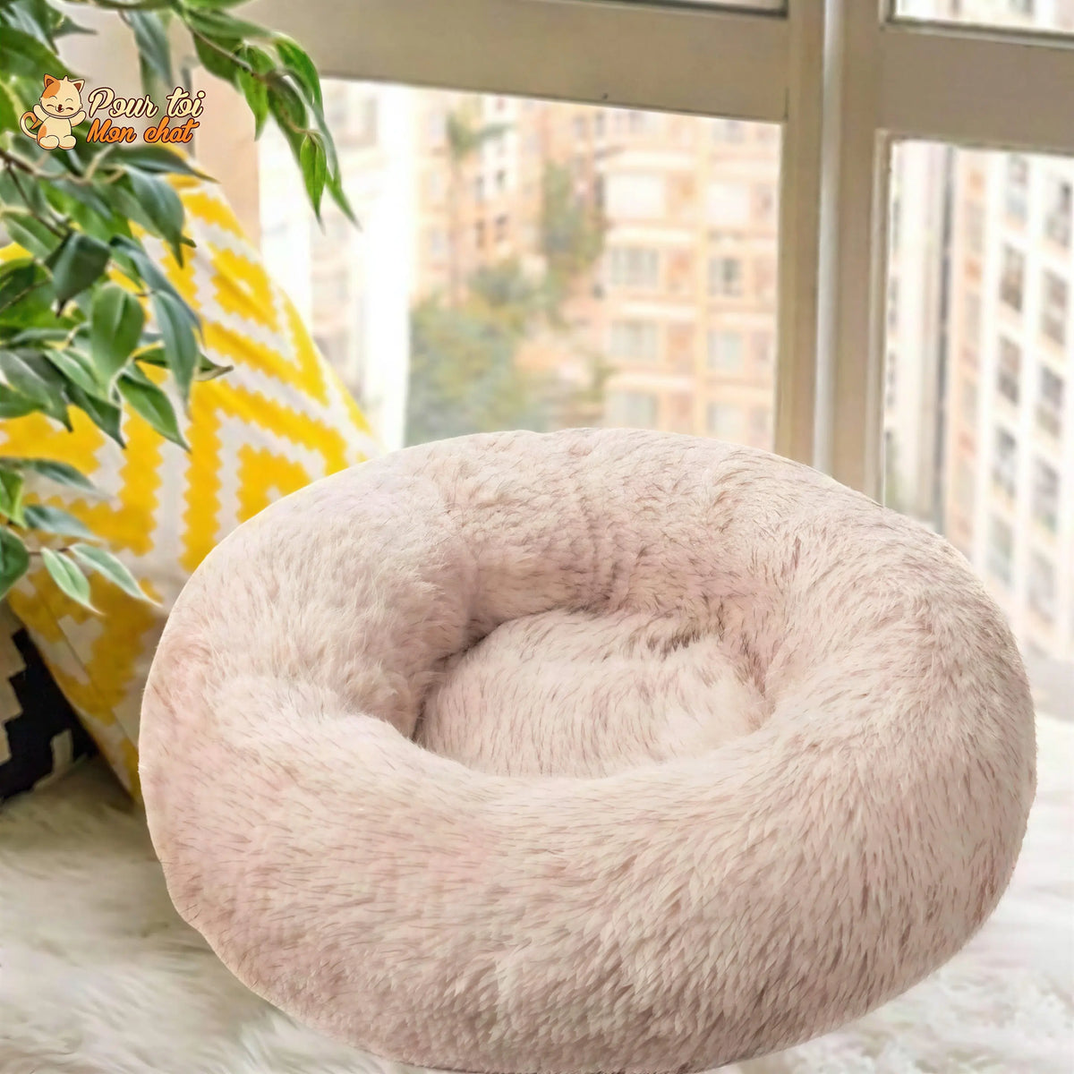 Coussin chat, maison pour chat, niche pour chat, COUSSINOO™ Pour toi Mon chat