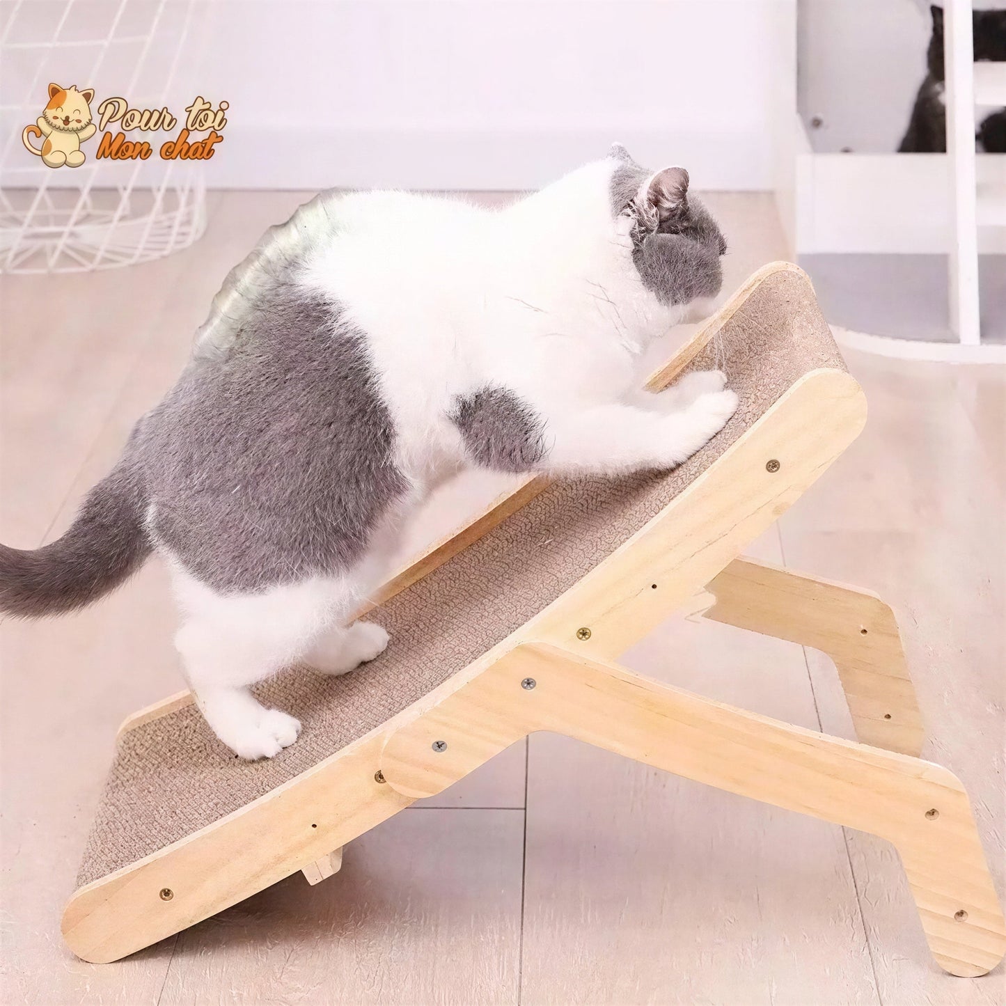 La planche à gratter 3 en 1 Griffoir, Lit, Jouet - pour Chat - Grat’Minou™ Pour toi Mon chat