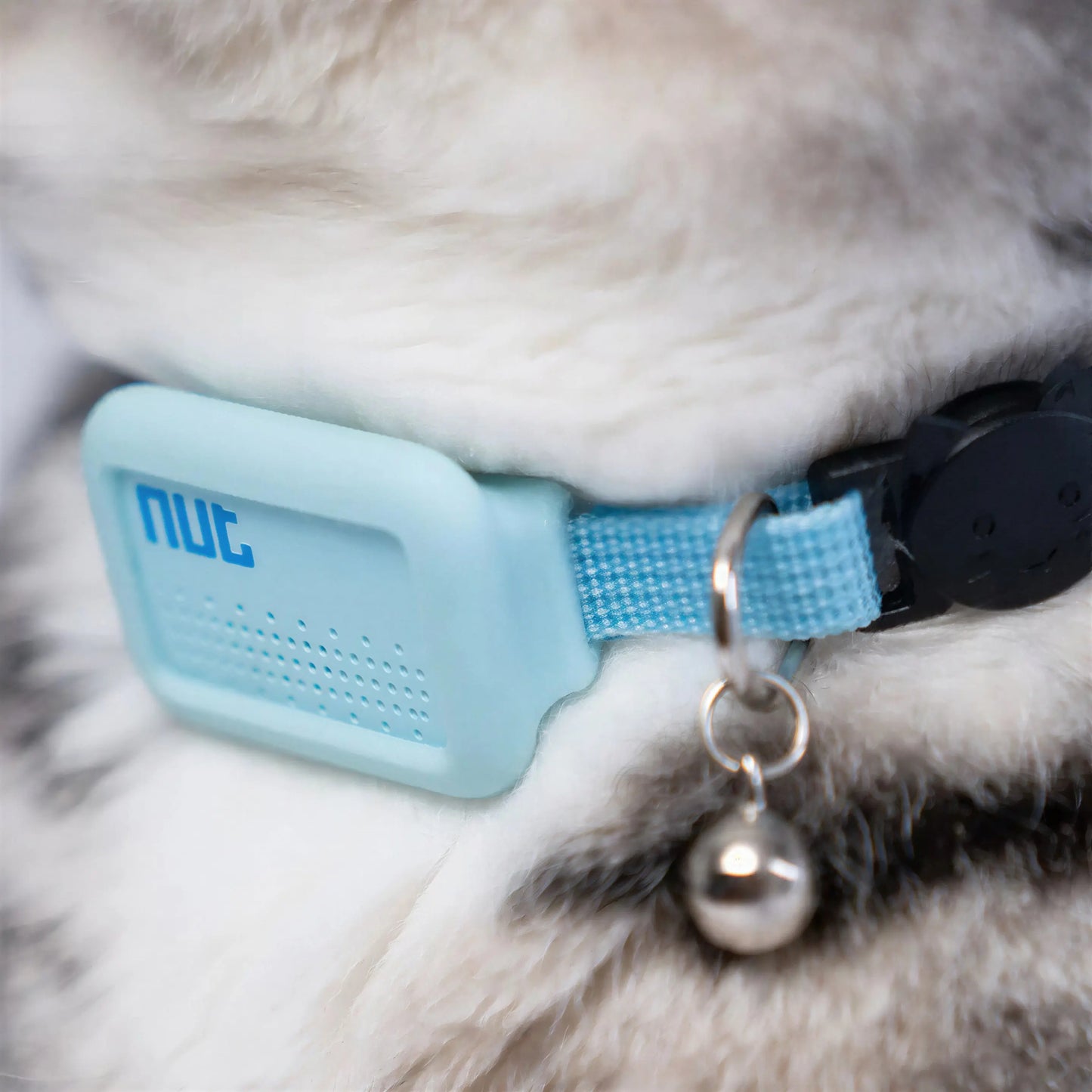 Mini Traceur GPS avec Collier pour Chat Pour toi Mon chat