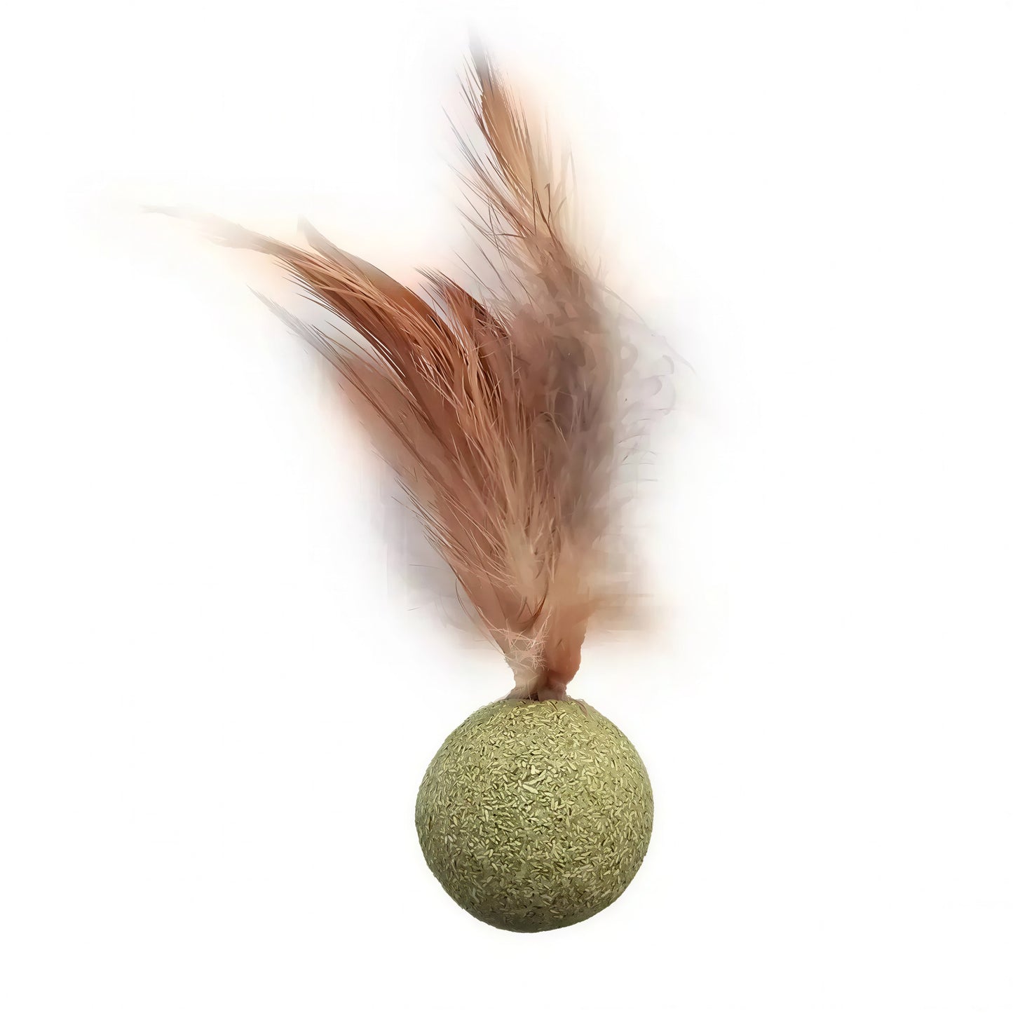 Herbe à Chat Ronde avec une Plume - vue 4