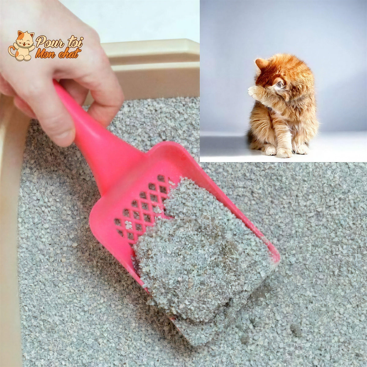 Désodorisant Révolutionn'air pour Litière - SentSiBon™ Pour toi Mon chat