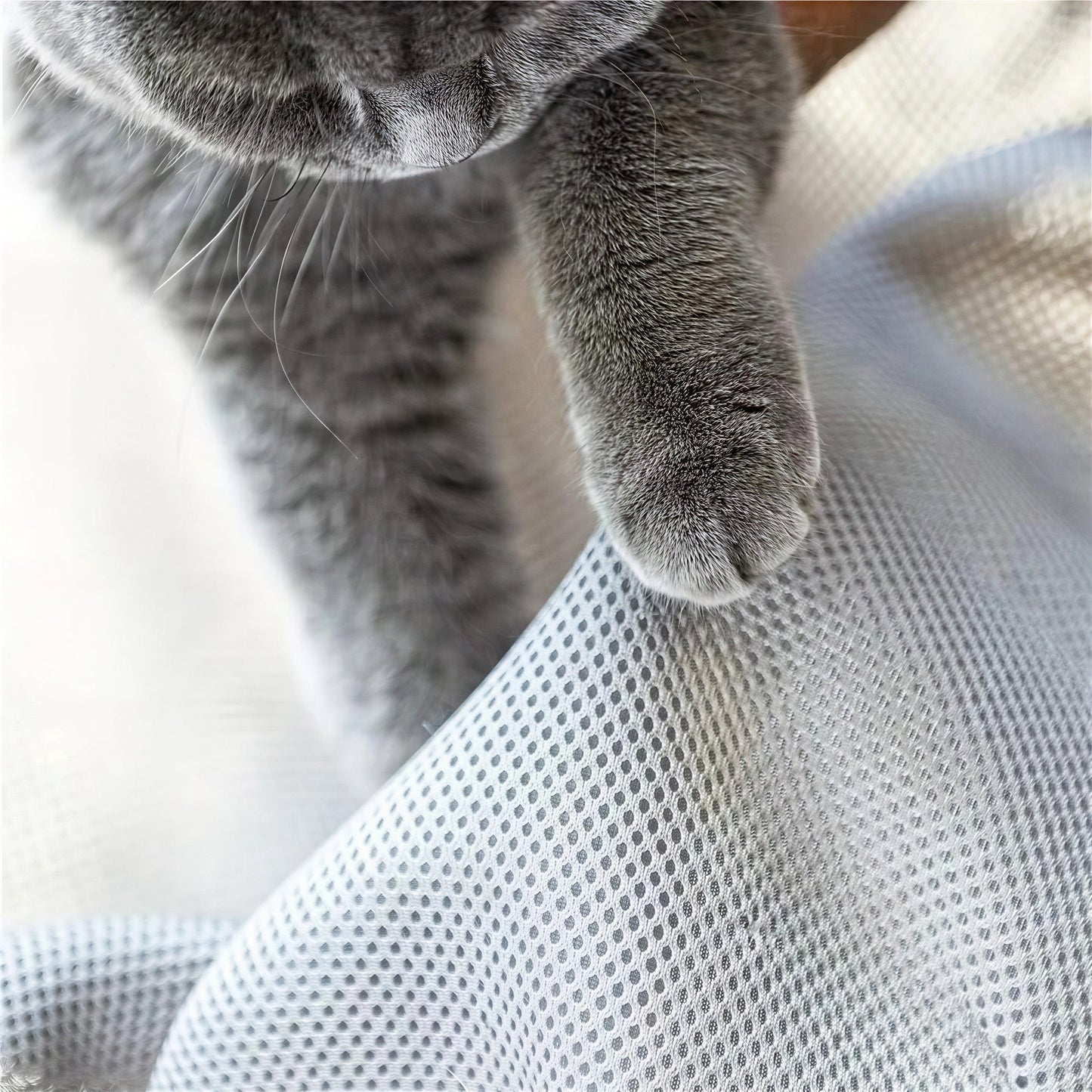 Lit pour Chat Circulaire et Perché Pour toi Mon chat