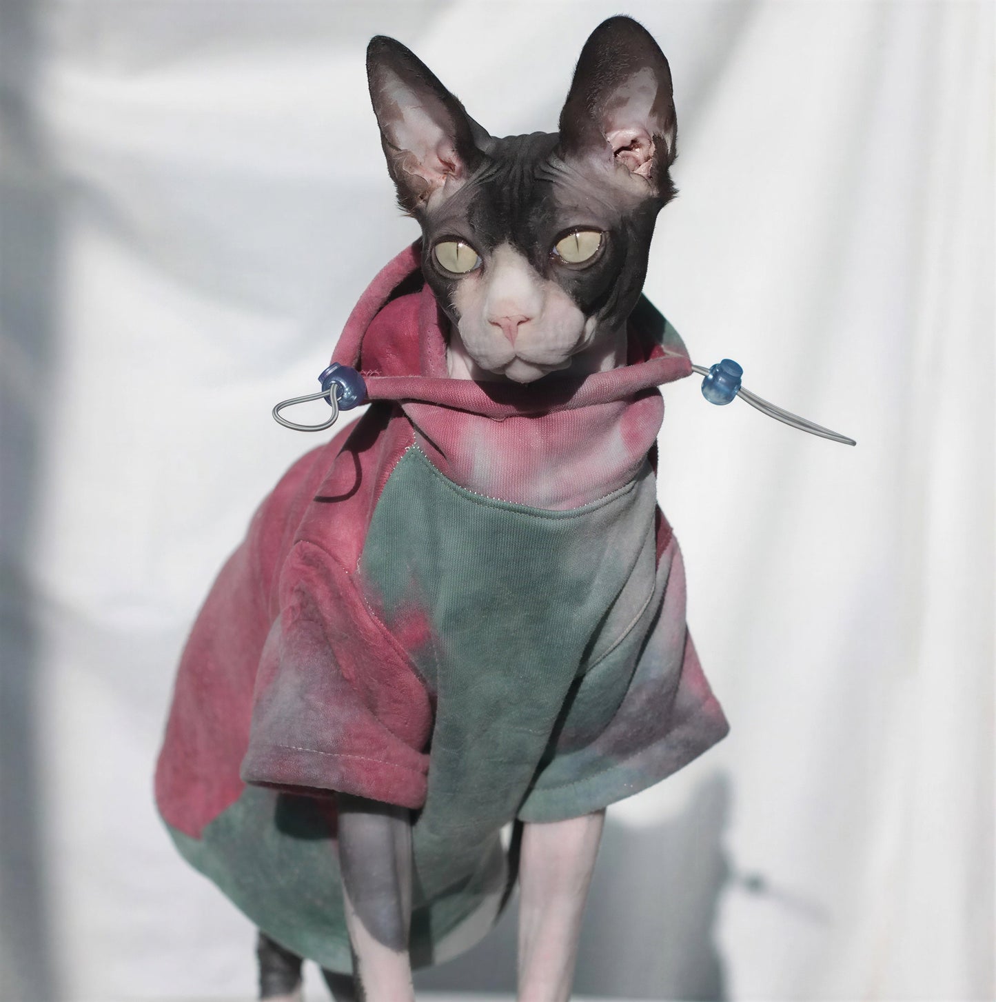 Pull Chat Épais et Chaud Pour toi Mon chat