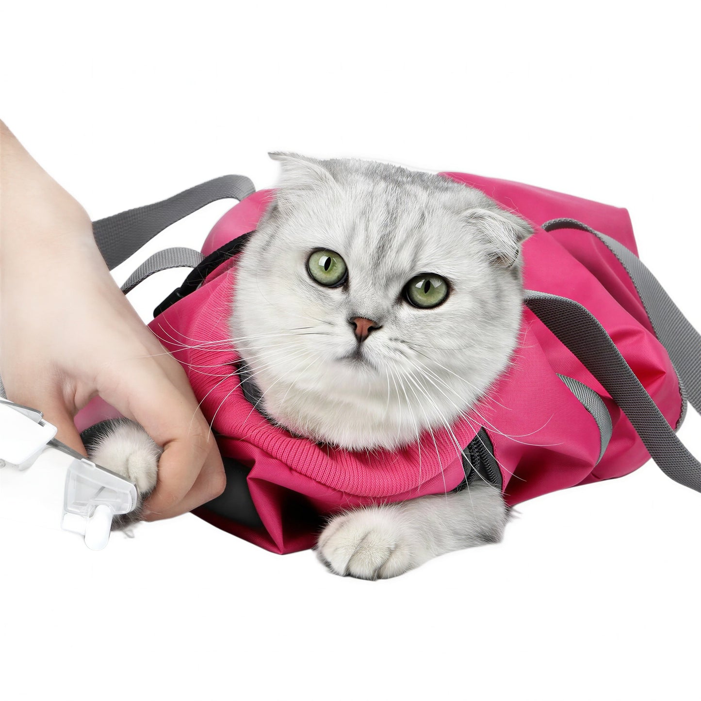 Sac de transport multifonctions pour chats Pour toi Mon chat