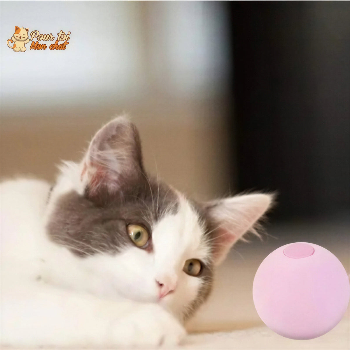 Balle avec des sons d'animaux - Music'Balls™ Pour toi Mon chat