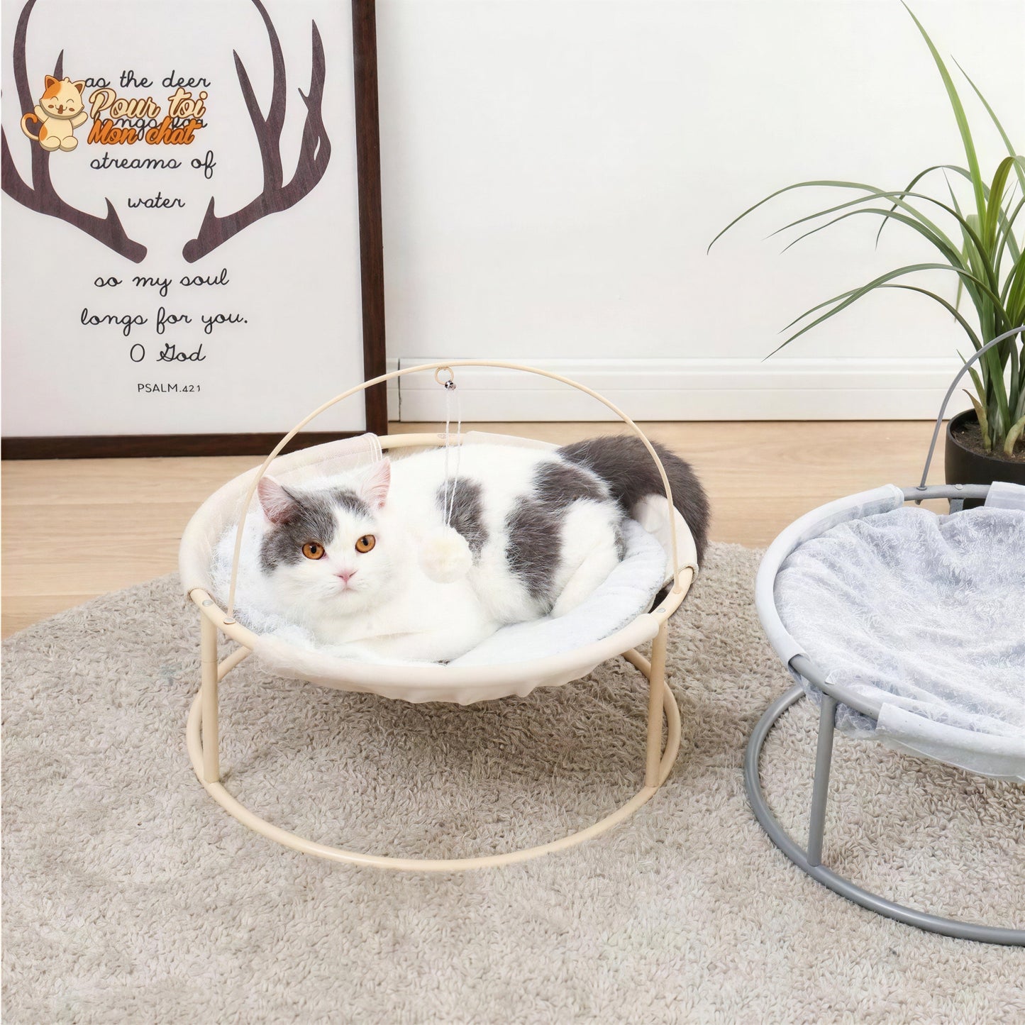 Panier Suspendu avec un Jouet - Hamac4cat™ Pour toi Mon chat