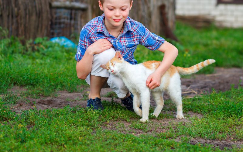 Petit garçon accroupi à côté d'un chat blanc et roux, qui se frotte à lui, le garçon caresse le chat.