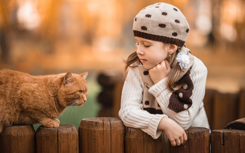 Dresser un Chat sans Stress : Les Techniques Éprouvées pour une Coexistence Harmonieuse
