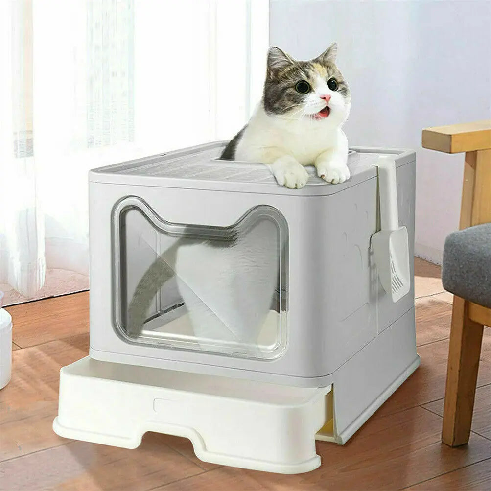 bac à litière gris et blanc avec pelle blanche et chat qui sort par le dessus