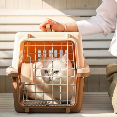 cage de transport marron deux couleurs avec chat blanc
