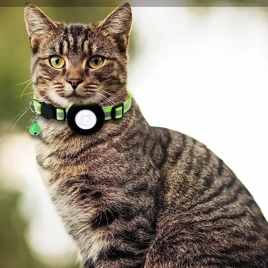 collier anti fugue vert au cou d'un chat marron