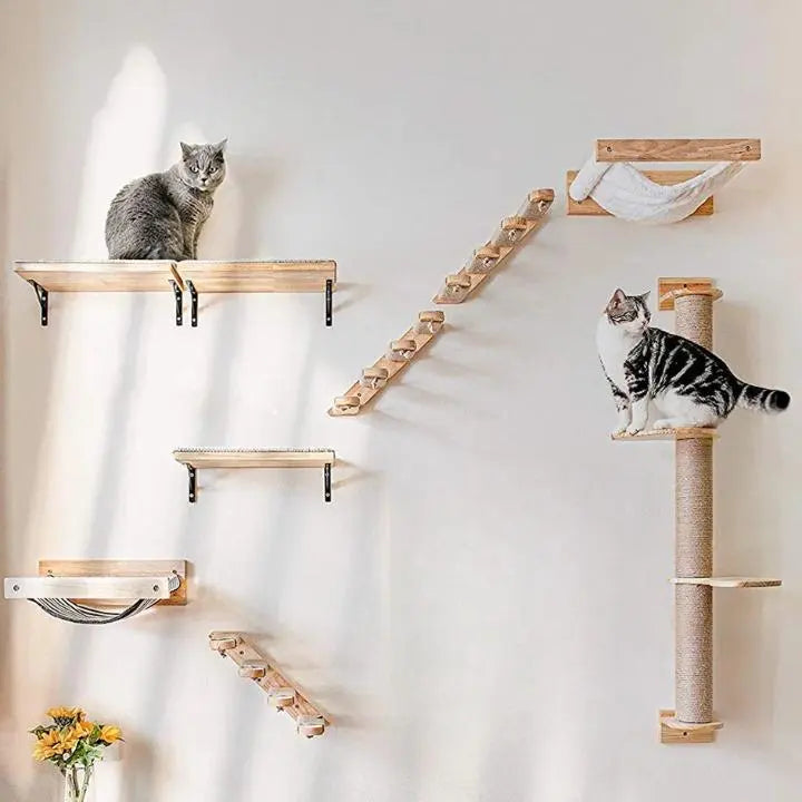 ensemble escalier mural pour chat avec deux chats