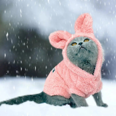 manteau pour chat rose porté par un chat gris sur la neige
