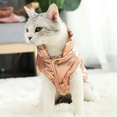 vêtement manteau pour chat rose porté par chat blanc