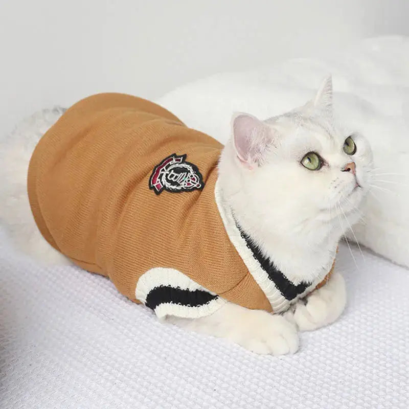 chat blanc portant un pull marron avec col noir et blanc sur un lit blanc