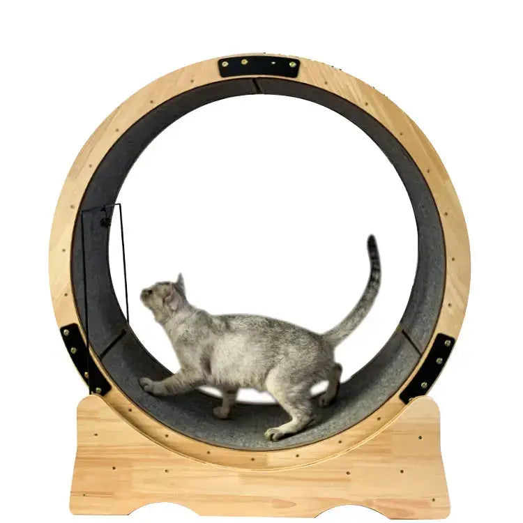 roue pour chat en bois intérieur gris avec chat qui joue dedans