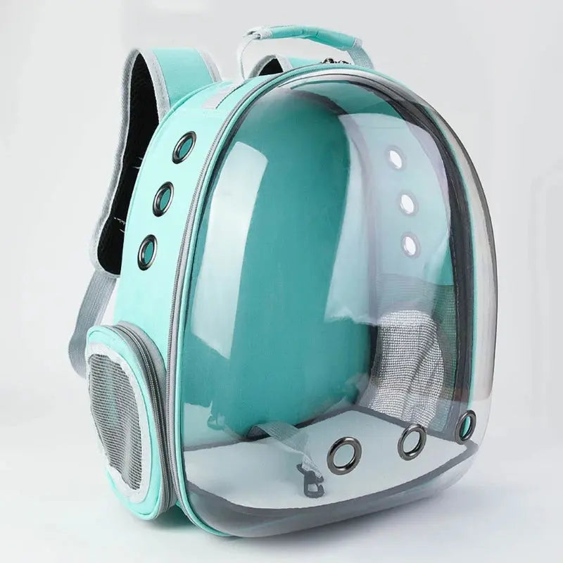 sac à dos pour chat vert, bulle transparente