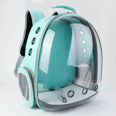 sac à dos pour chat vert, bulle transparente