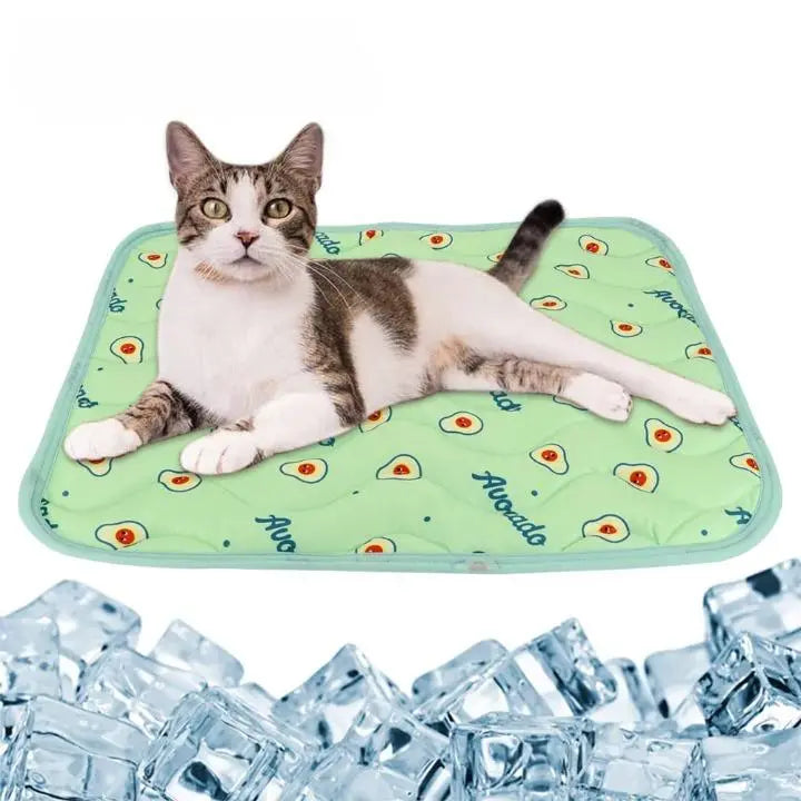 tapis rafraichissant vert avec glaçons devant et chat blanc et marron allongé dessus