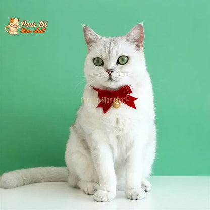 Noël - Nœud papillon de Noël - Pour Chat et Chien – Chat’nœud’Pap’™ Pour toi Mon chat