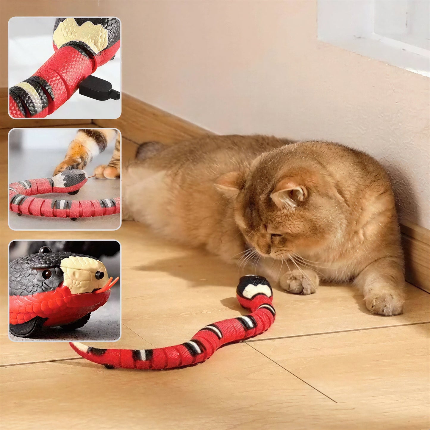 Jouet pour Chat - Serpent Interactif Pour toi Mon chat