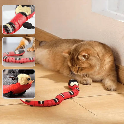 Jouet pour Chat - Serpent Interactif Pour toi Mon chat