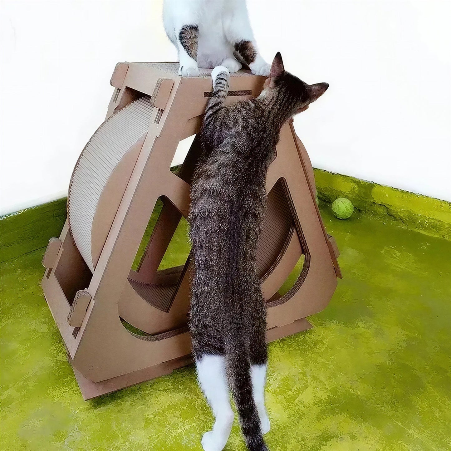 Roue pour Chat et Grattoir en Carton Pour toi Mon chat