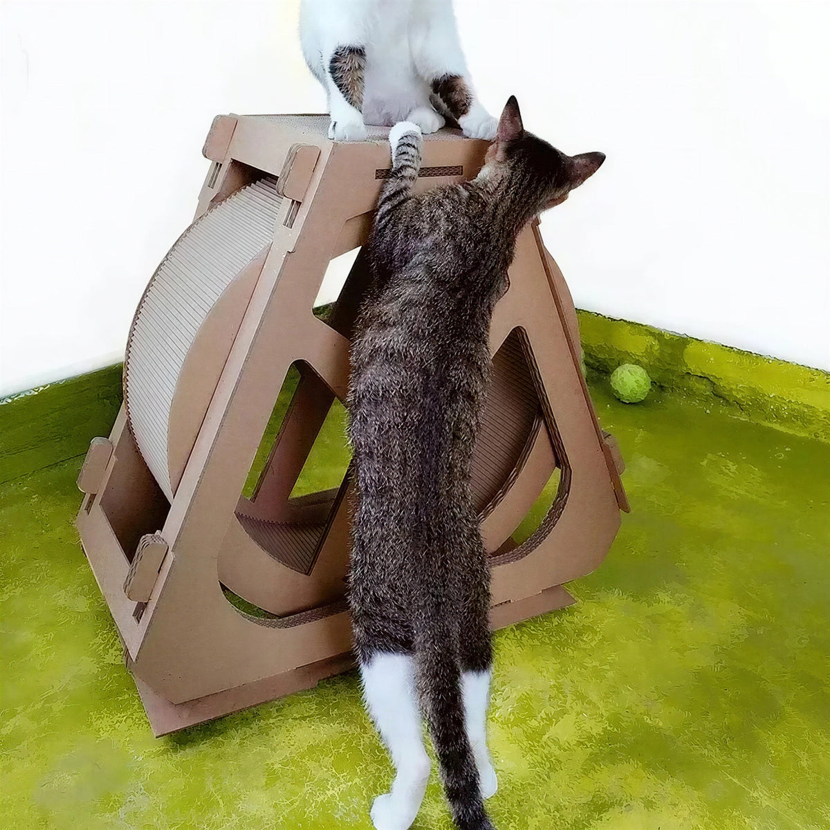Roue pour Chat et Grattoir en Carton Pour toi Mon chat