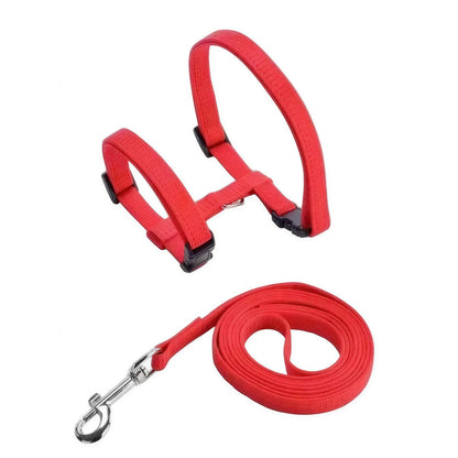 Collier en nylon réglable pour chat Pour toi Mon chat