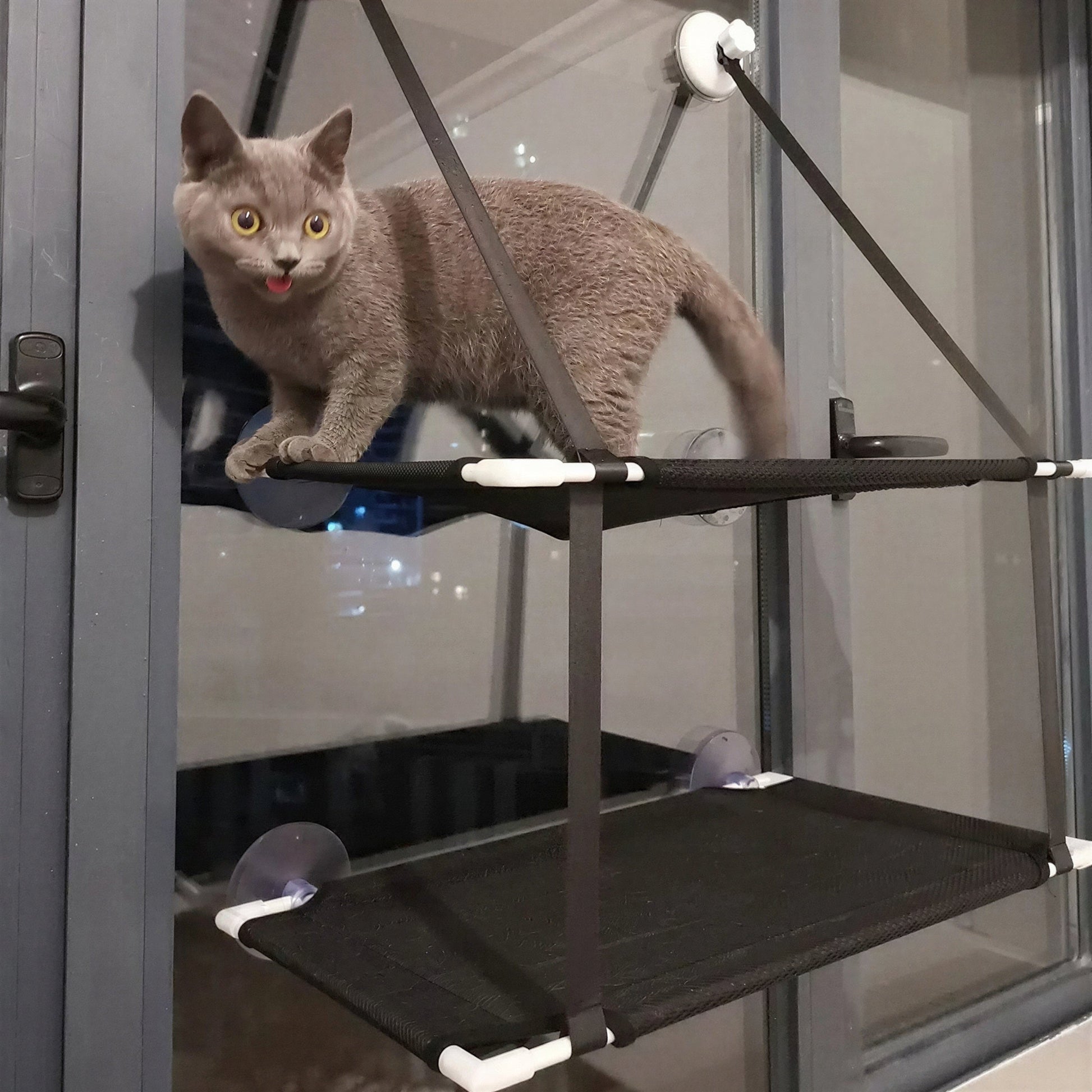 Hamac à fenêtre suspendue pour chaton Pour toi Mon chat