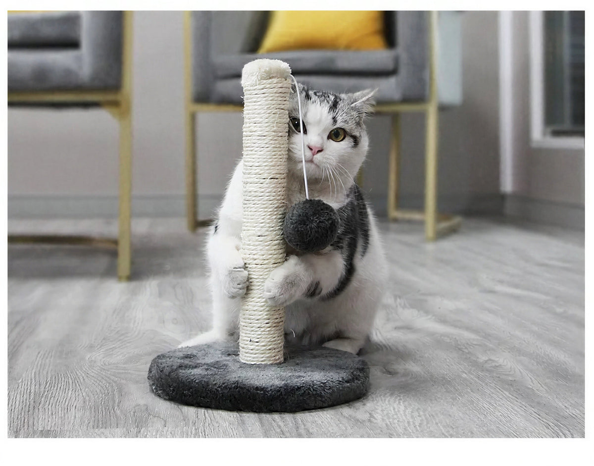 Tour de saut pour chat avec corde en sisal Pour toi Mon chat
