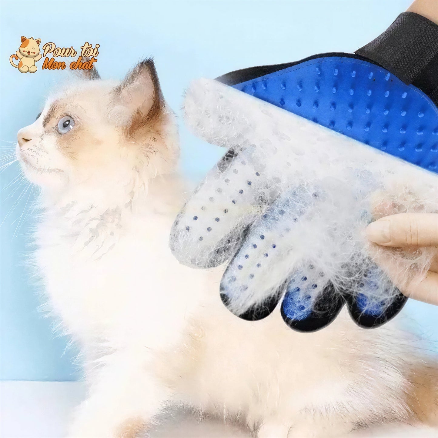 Gant de toilettage et de massage pour chat - Clean'Cat™ Pour toi Mon chat
