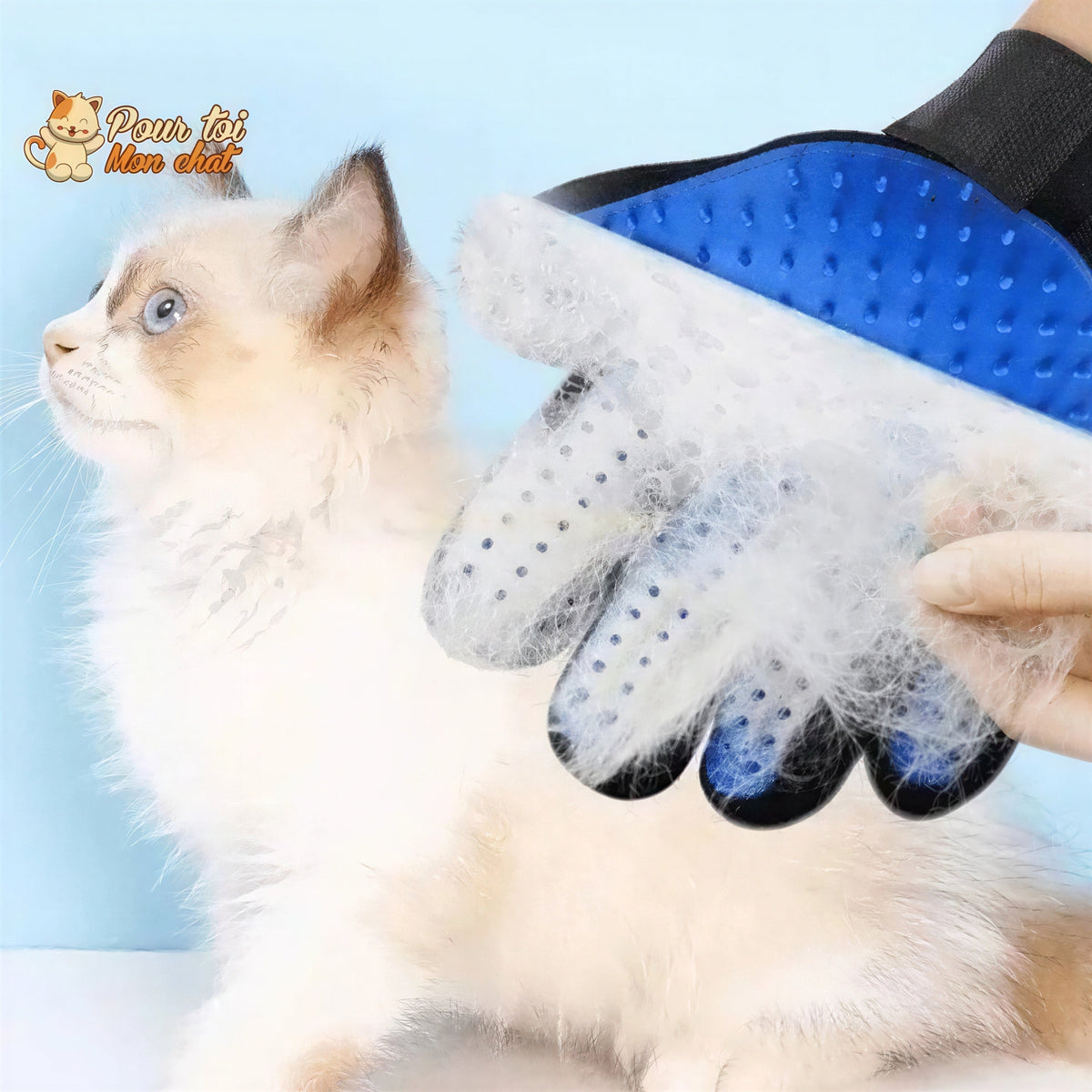 Gant de toilettage et de massage pour chat - Clean'Cat™ Pour toi Mon chat