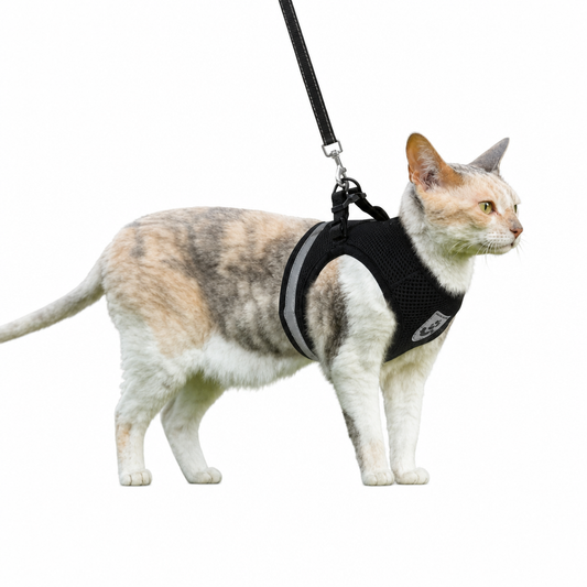 Harnais et laisse respirants pour chat Pour toi Mon chat