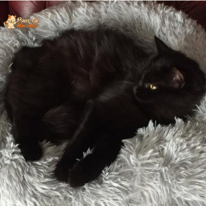 Coussin Douillet pour Chat - CoussinooRelax™ Pour toi Mon chat