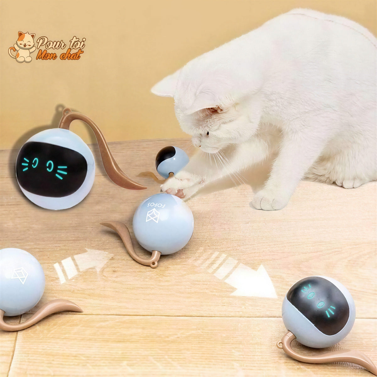 Balle Magique Lumineuse pour Chat - Catch'Cat™ Pour toi Mon chat