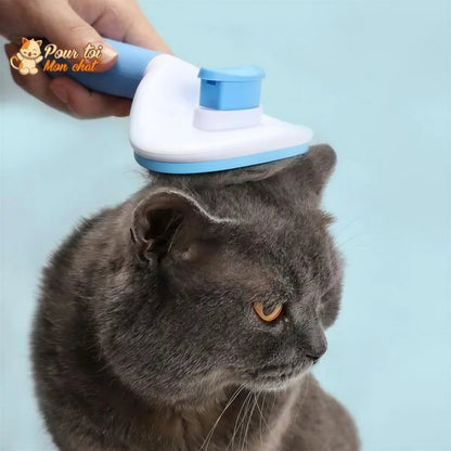 Brosse et peigne pour Poils de Chat - CleanyBrush™ Pour toi Mon chat