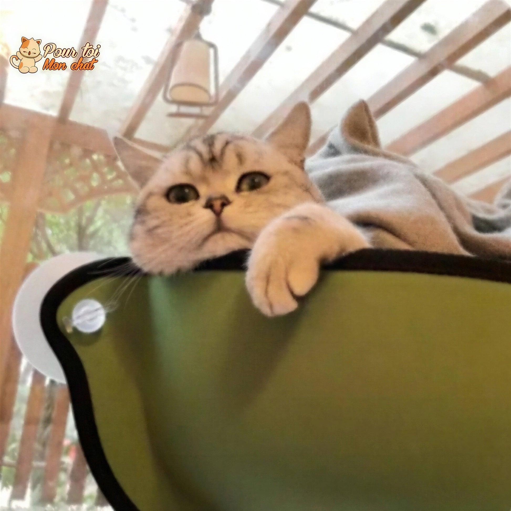 Lit suspendu à ventouses pour chat - Hamac-Fenêtre-Chat™ Pour toi Mon chat