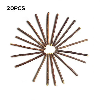 Bâtonnets en bois pour nettoyage des dents pour chat Pour toi Mon chat