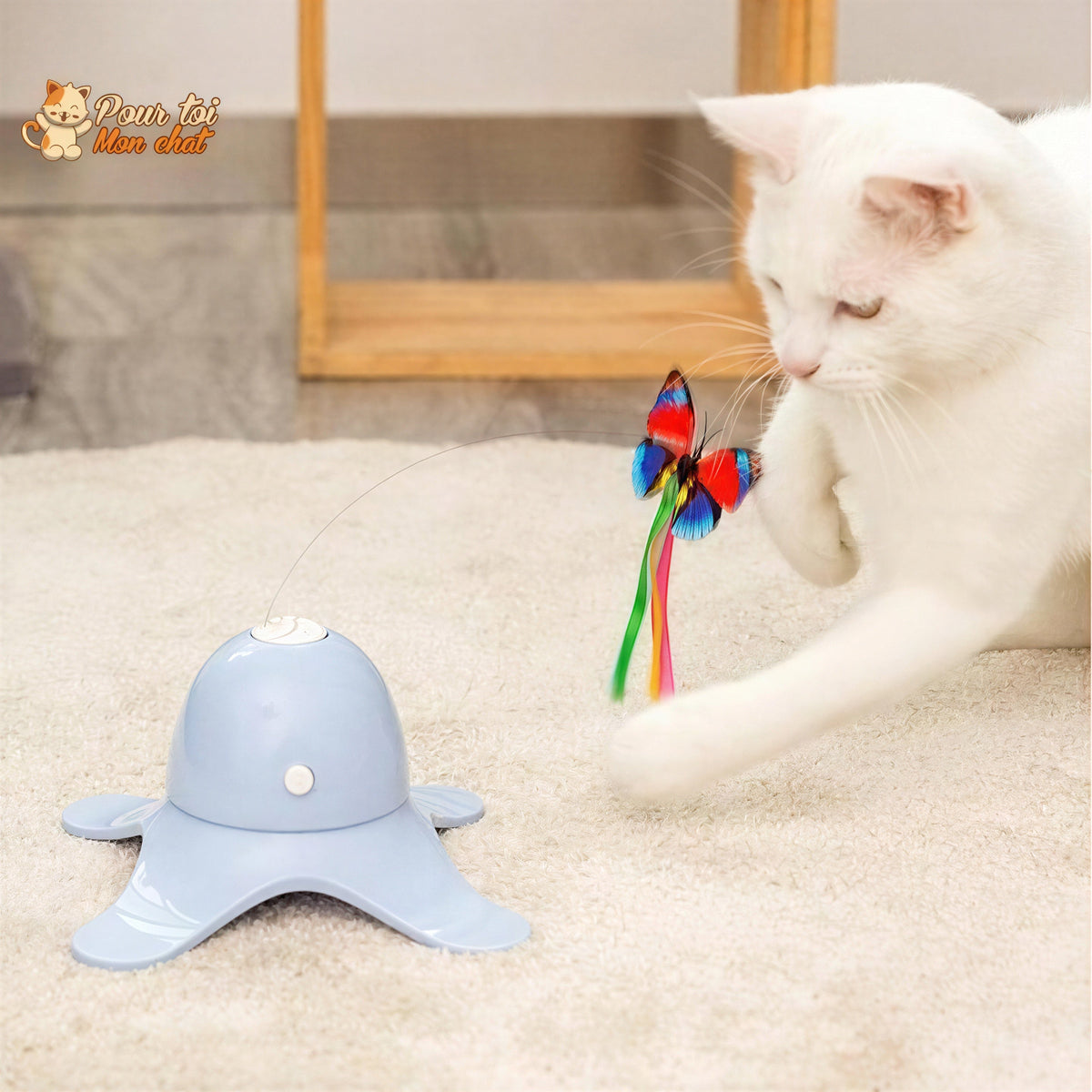 Jouet Papillon Volant pour Chat - Attrap'Papillon™ Pour toi Mon chat