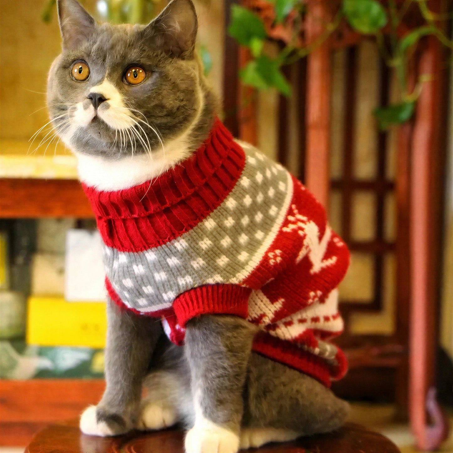Pull pour Chat Chaud Style Noël avec des Cerfs Pour toi Mon chat