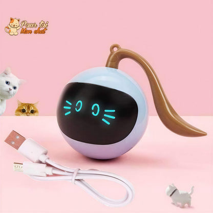 Balle Magique Lumineuse pour Chat - Catch'Cat™ Pour toi Mon chat