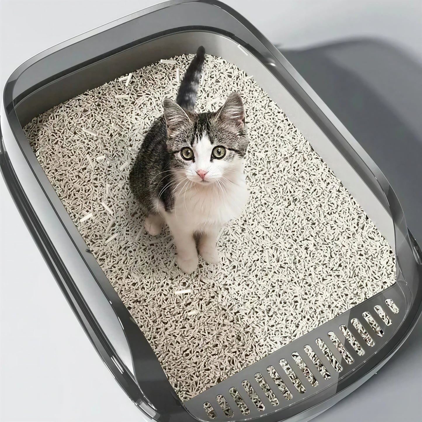 Litière Chaton avec Rebords Anti Éclaboussures en Plastique - vue 2