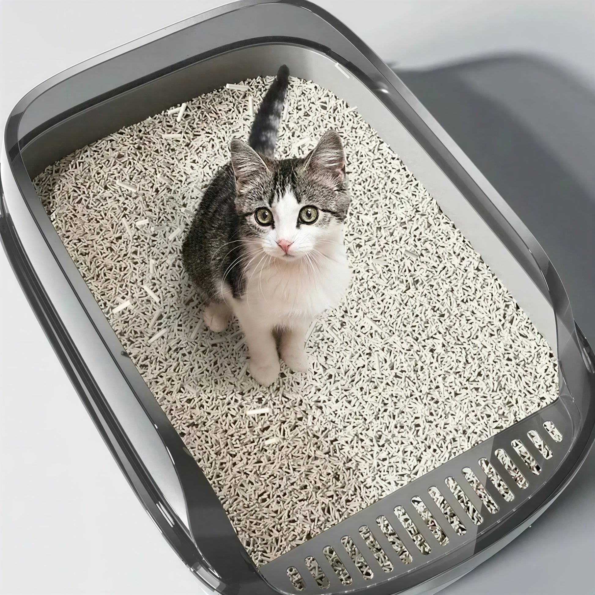 Litière Chaton avec Rebords Anti Éclaboussures en Plastique - vue 2