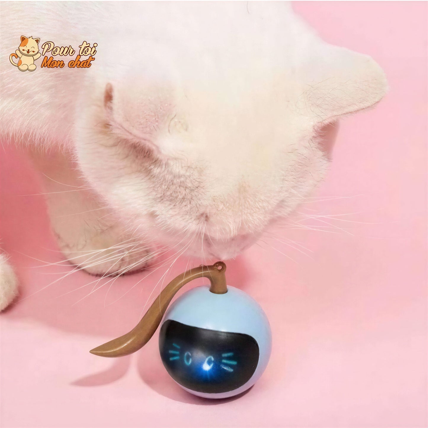 Balle Magique Lumineuse pour Chat - Catch'Cat™ Pour toi Mon chat