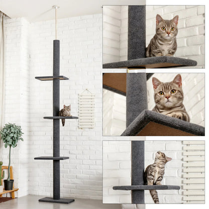 Arbre d'escalade pour chat à cinq niveaux Pour toi Mon chat